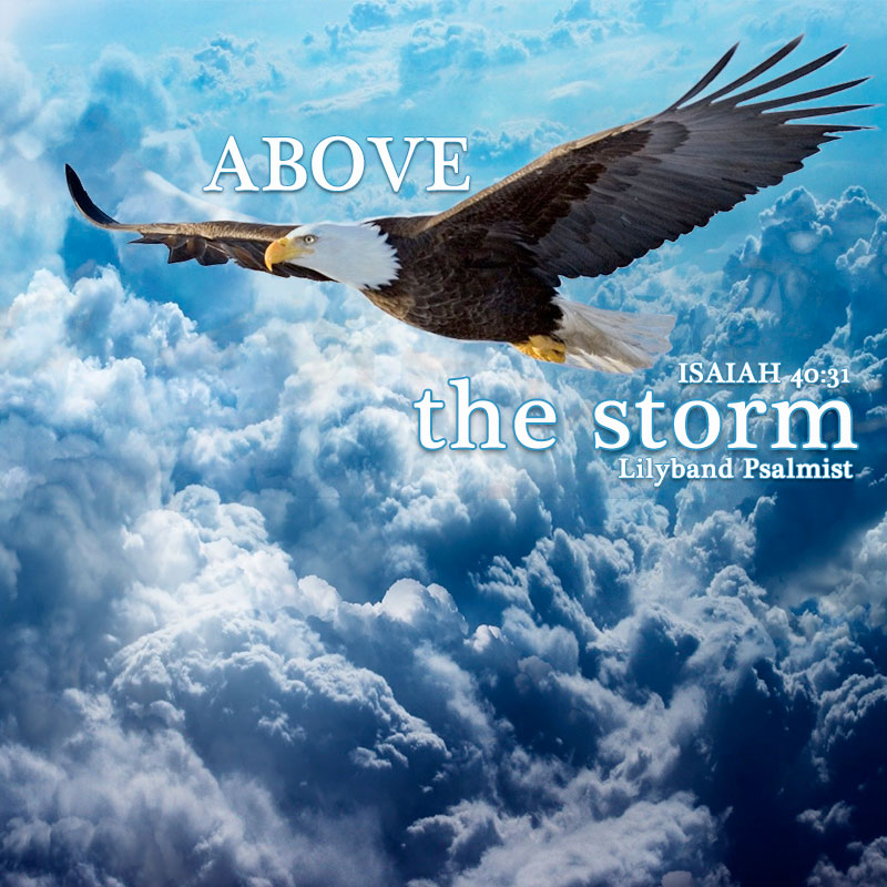 Above The Storm - MP3 Download