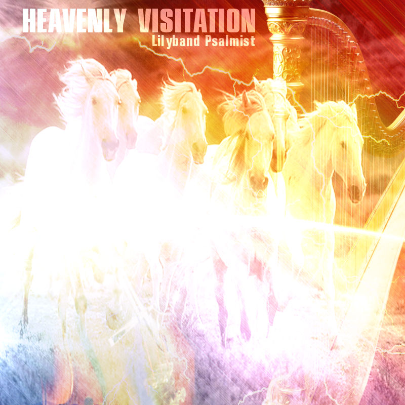 Heavenly Visitation MP3 Album