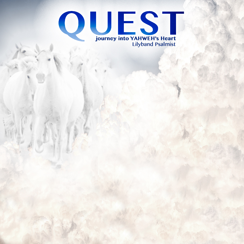 Quest - MP3 Package - 3 Albums