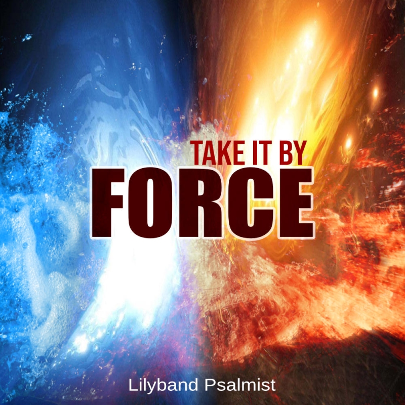 "Take It By Force"