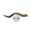 27" - 31" Yemenite Shofar - Half Polished