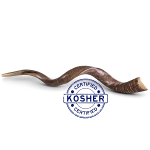 39-43" Yemenite Shofar Certified Kosher